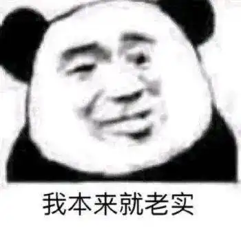 搞笑沙雕熊猫头表情包
