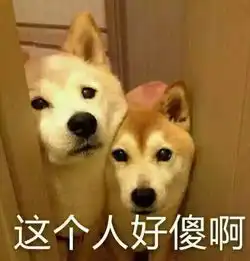 被别人蠢哭没什么,被自己蠢哭才是真的爆笑
