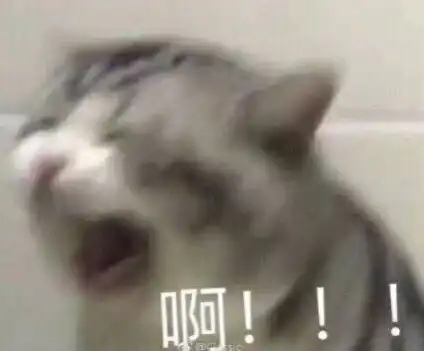 热门沙雕表情包第三期
