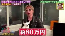 日本顶级土豪花式炫富,高中辍学却开8000万兰博基尼,坐拥上亿游艇和9个百万爱马仕铂金包包包
