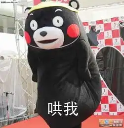 跟我讲道理是没有用的要哄我表情包如果我生气了怎么办熊本熊表情包...
