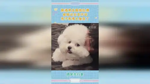 醉酒男友跟狗吐槽,偷偷说女友坏话,狗子表情太复杂了
