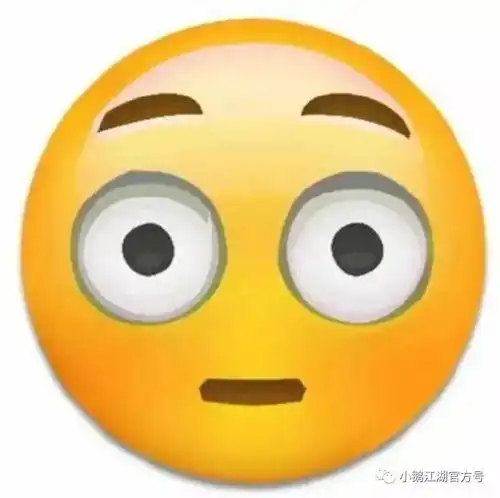 小鹅和春节的那二三事
