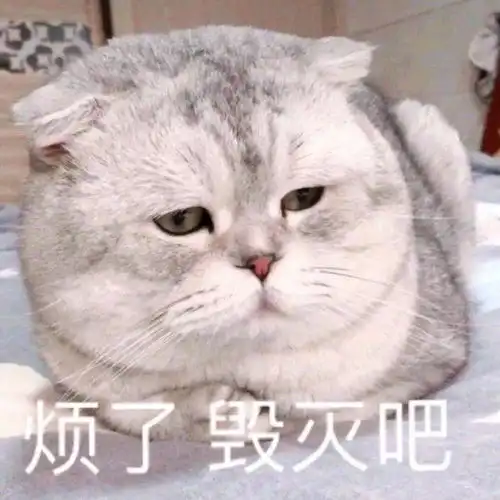 有没有那个累了毁灭吧,赶紧的表情包

