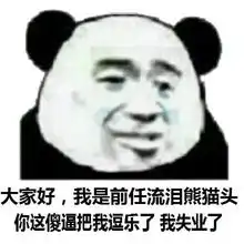 搞笑表情包大家好,我是流泪熊猫头
