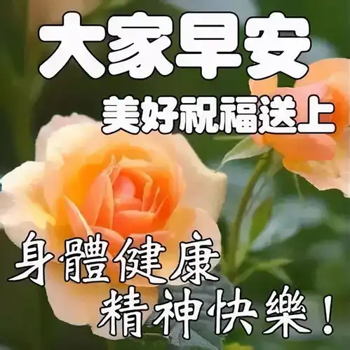 早上好祝福语大全大家早安表情早安语录早上好祝福语
