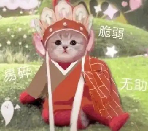 唐僧猫咪表情包
