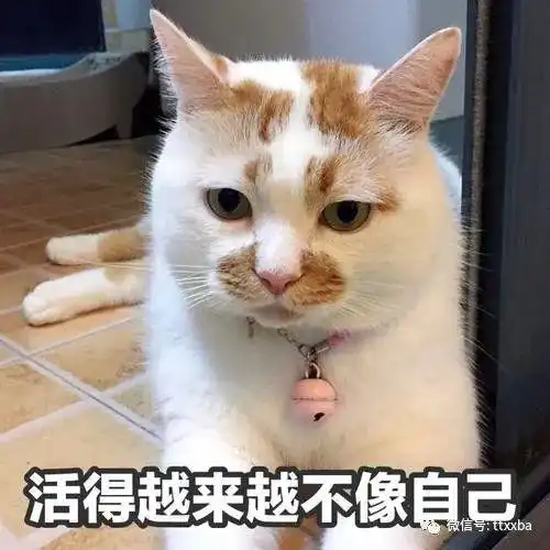糗事经典冷知识搞笑笑话,吃饭的时候咬到自己的舌头,在车上睡着了头敲到玻璃
