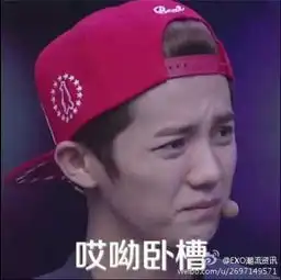 求exo恶搞带字图片
