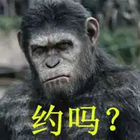 逗趣表情图片搞笑超逗表情图微信头像图片大全
