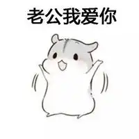 老婆我爱你表情包微信头像图片大全
