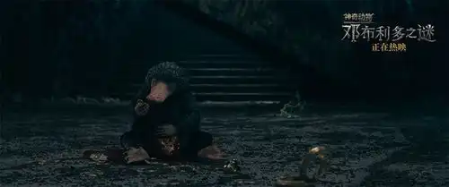 神奇动物邓布利多之谜发布萌兽出击片段人气组合嗅嗅护树罗锅惊爆塑料情
