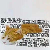 扎铁不老心表情包
