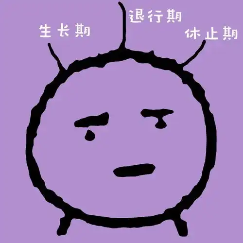 为什么头发和胡子能一直长,眉毛和睫毛却不能
