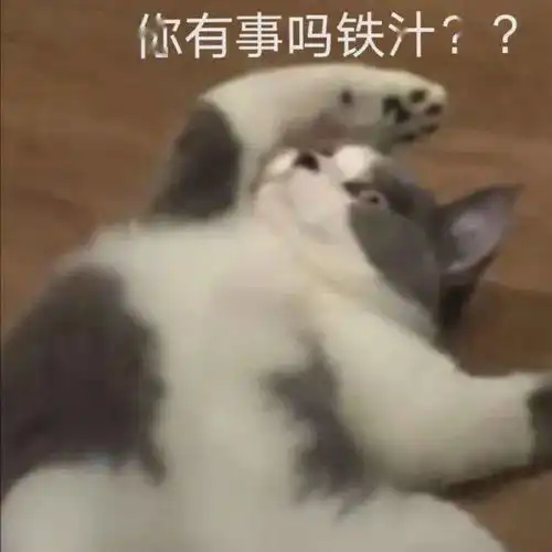 沙雕表情我心爱的狗东西在吗
