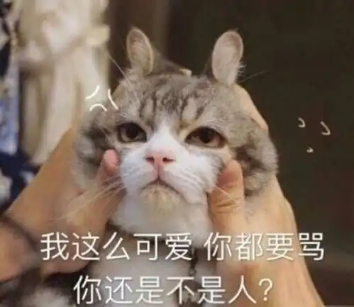 无助表情包绿帽子追问,你在和谁组队,为什么我不再是你的快乐

