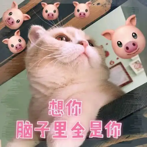 有什么套路女朋友的表情包

