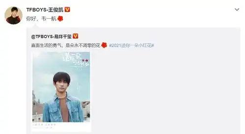 评分9.5,送你一朵小红花口碑票房大爆,王俊凯王源纷纷应援
