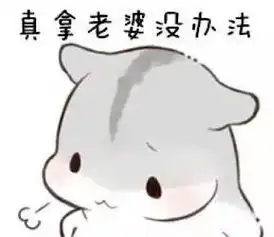 哄老婆专用仓鼠表情包合集老婆大人对不起
