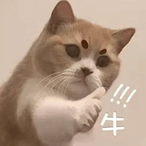 今日份沙雕表情包你又皮痒了
