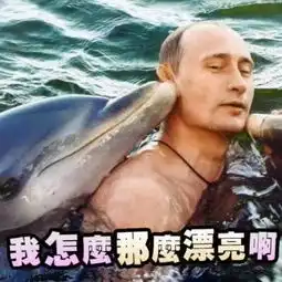 一半欧洲一半亚洲,一半铁血一半柔情
