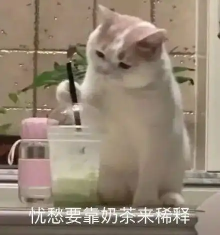 减肥时不能吃它这个减脂误区请你搞搞清楚
