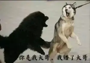 海量表情包
