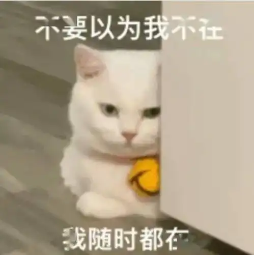 精英班即将再次启航,来为你的师兄师姐打call吧
