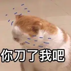 今日表情包拿去斗图吧
