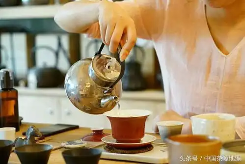 白茶白茶越陈越香的秘密在这里

