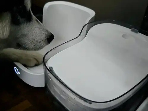 主子的好物分享宠咕咕宠物饮水机评测让宠物爱上喝水的神器
