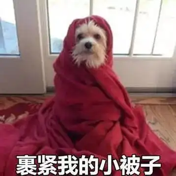 提醒冷空气强势来袭要是没有一身正气,可能这几天很难熬
