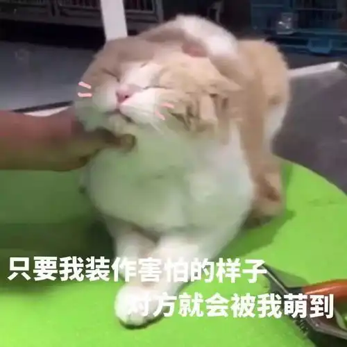 没有表情包,还聊什么天100张表情包,拿去
