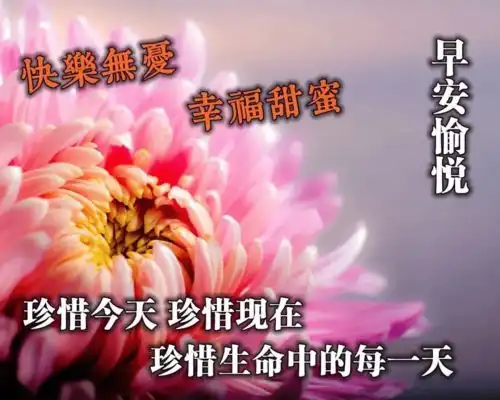 有一些期盼,总是连绵不断有一些时间,总是飞逝如电
