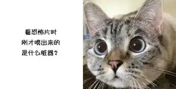 七医周刊第三十期

