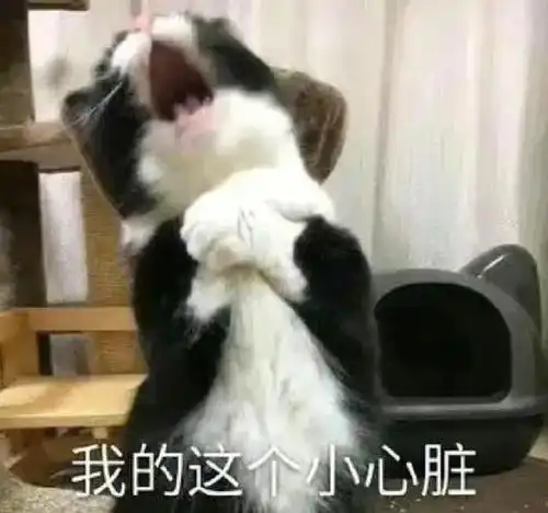 惊险一女子赶公交弄丢1公斤金条
