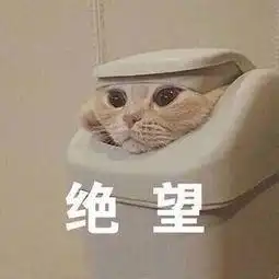 韦博英语跑路,员工被欠薪学员背贷,教育加盟行业是个坑
