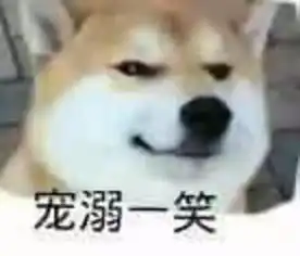 你猜为什么我会有那么多表情包因为我养了一只柴犬

