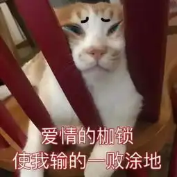 qq怼人高能表情包爱情的枷锁,使我输的一败涂地

