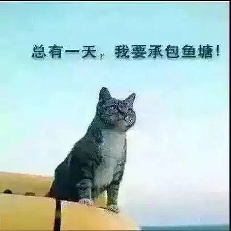 通过外汇交易能实现财务自由吗,看我的经历你就明白了,励志好文
