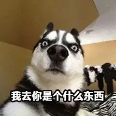 一大波二哈表情包,赶紧收好
