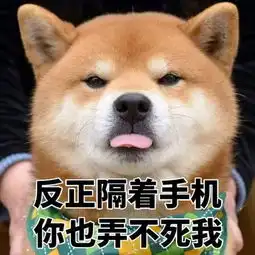 白月光第三期花絮
