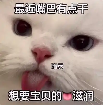 猫猫表情包打咩涩涩
