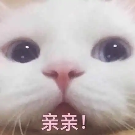 求女主好好读书的学霸文

