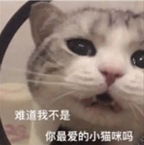爸,你能不能不发红包了为啥你绑定的是我的银行卡
