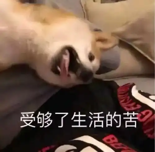 黑神话救不了中国游戏
