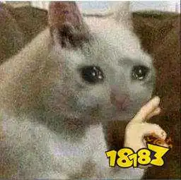 抖音流泪猫猫头表情包
