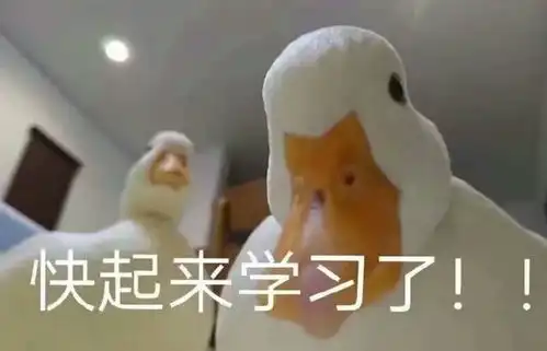 高速路上行驶,看到前方有障碍物,打方向还是撞上去
