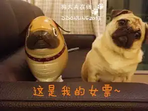 双十一有惊喜苹果被诉原告竟是比亚迪
