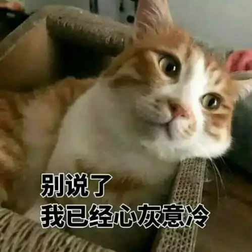 2020余额只有33天啦年初的目标实现了多少
